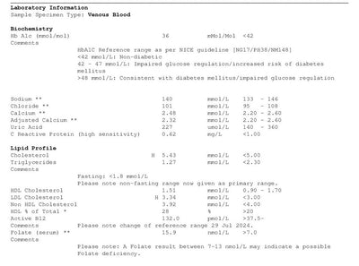Comprehensive Bronze Healthscreen  Comprehensive Bronze Example 1  Home Test