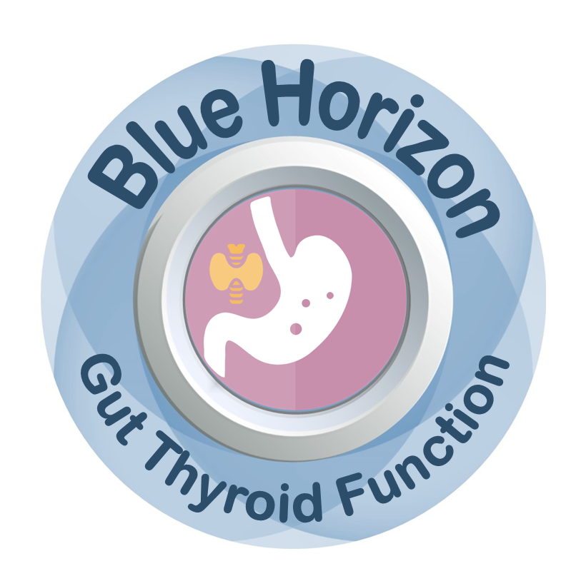 Gut Thyroid Function Test – Blue Horizon Blood Tests
