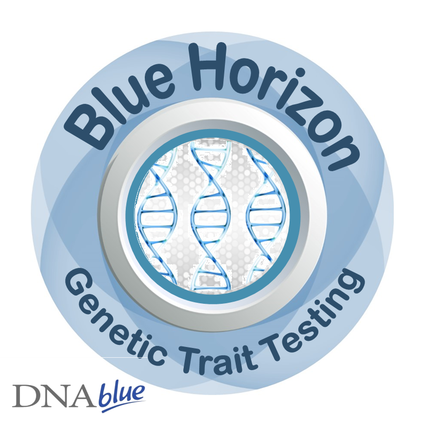 DNAblue Wellman Genetic Traits